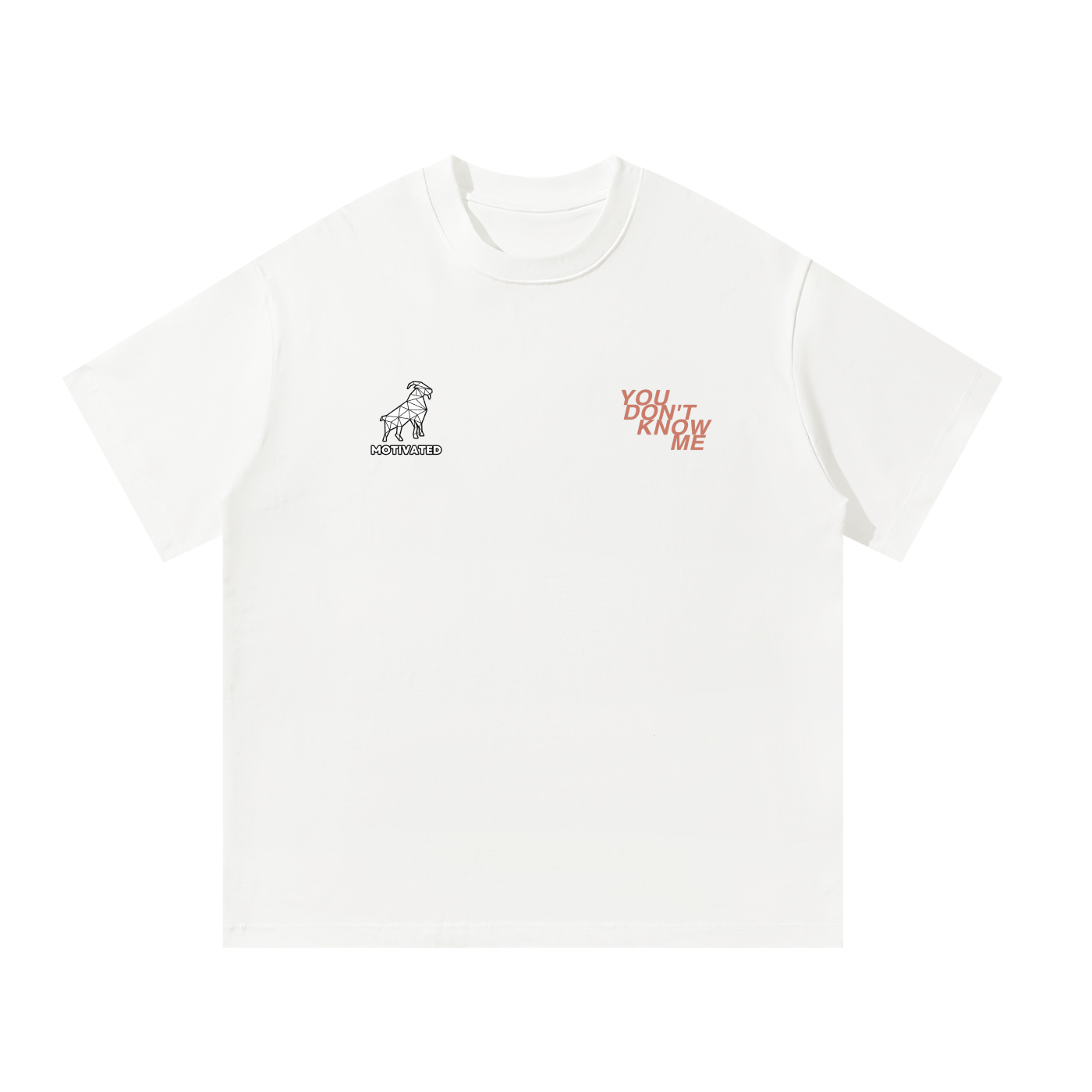 Unisex Oversized T-Shirt